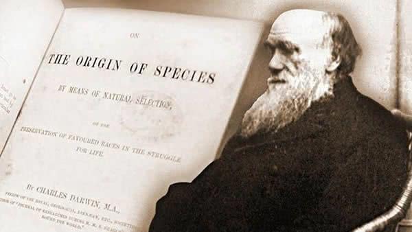 达尔文进化论解释男性女性